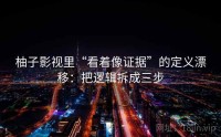 柚子影视里“看着像证据”的定义漂移：把逻辑拆成三步